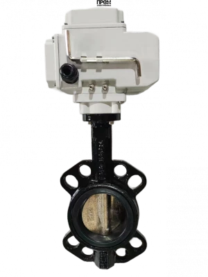 ЗДП с чугунным диском и электроприводом 220В Ду125 Ру16