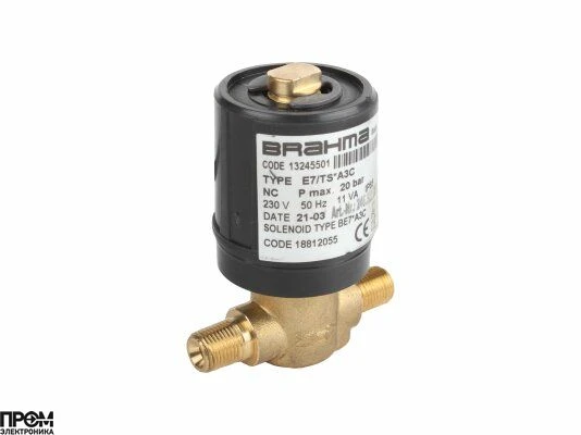 Жидкотопливный электромагнитный клапан Brahma E7/TS*A3C 13245501