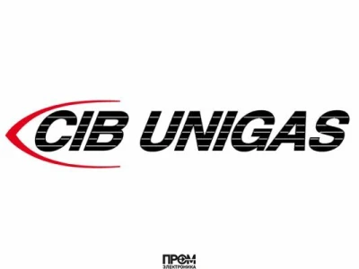 Голова сгорания CIB Unigas, 3060161
