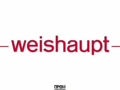 Шпилька Weishaupt M 4 x 8 DIN 913, 420408