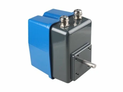 Сервопривод Elco 02-25/3000