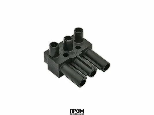 Штекер Wieland 3P, папа